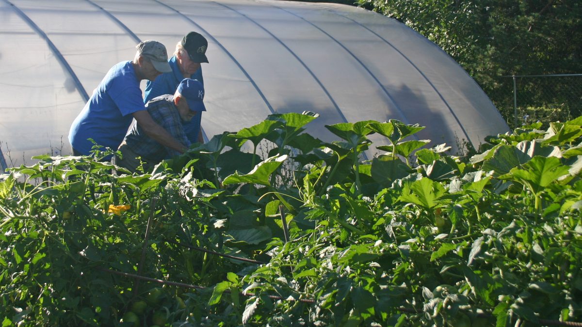 our garden managers take care of everything